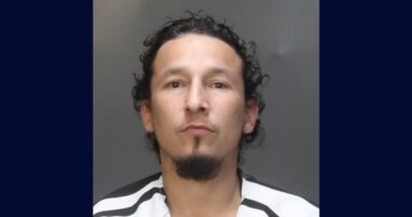 'He was just learning his ABCs': 6-year-old who forgot school take-home folder is whipped with belts by father trying to 'straighten out' his son