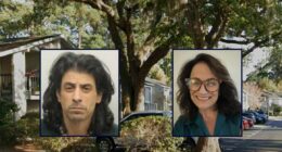 'Heard screams': Man stabbed his mother to death at her home and then stole her car, police say