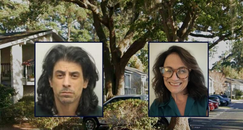 'Heard screams': Man stabbed his mother to death at her home and then stole her car, police say