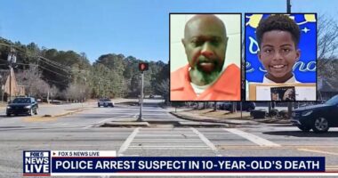 'Heartless' driver mowed down 10-year-old crossing street with brother and cousins then 'kept going,' mom says the kids tried to save him 'but they're children': Cops