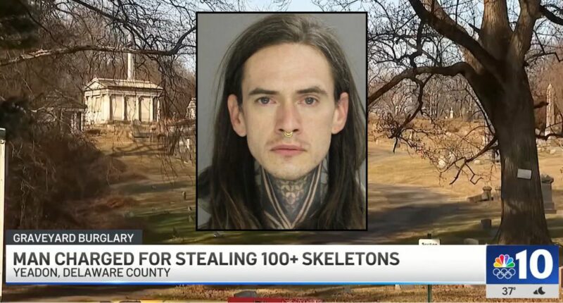 'Horror movie come to life': Infants, children, body with pacemaker still attached among more than 100 skeletons stolen from cemetery, DA says