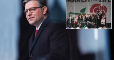 House Speaker Mike Johnson suggests he was nearly aborted by his teenage parents