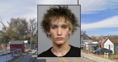 'How the f— is it my fault?: Teen 'bragged' about luring romantic rival into near-fatal stabbing, told police it was 'self-defense yo'