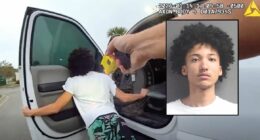 'I didn't steal anything yet': Teen busted trying to rob BMW dealership and take over cop car threatens officers after being tased, police say