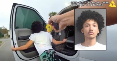 'I didn't steal anything yet': Teen busted trying to rob BMW dealership and take over cop car threatens officers after being tased, police say