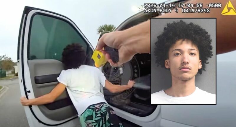 'I didn't steal anything yet': Teen busted trying to rob BMW dealership and take over cop car threatens officers after being tased, police say