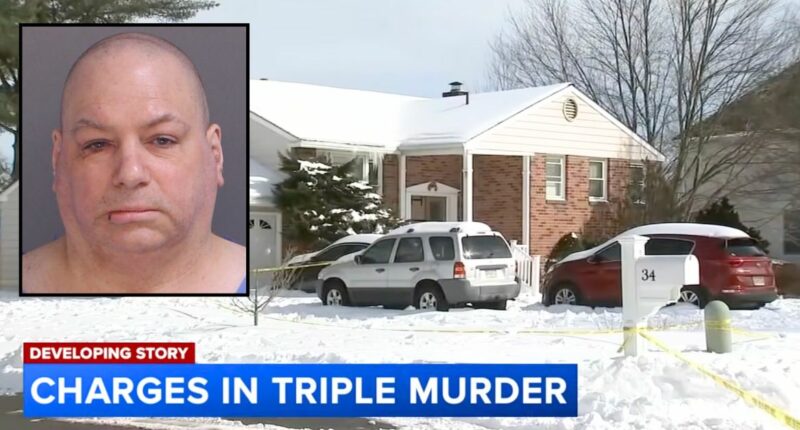 'I killed my sister when she found them': Man stabbed parents to death as they slept, then murdered sibling before telling her boyfriend she was on vacation, cops say