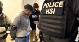 ICE confirms arrest of Somali illegal immigrant sex offender in Minneapolis