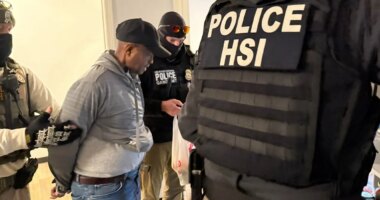 ICE confirms arrest of Somali illegal immigrant sex offender in Minneapolis