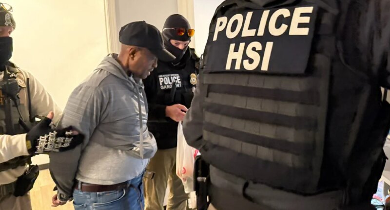 ICE confirms arrest of Somali illegal immigrant sex offender in Minneapolis