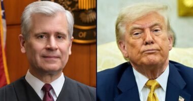 'ICE is not a law unto itself': Judge excoriates Trump administration for having 'violated' nearly 100 court orders in less than a month