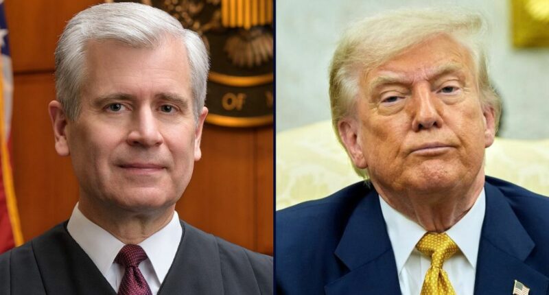 'ICE is not a law unto itself': Judge excoriates Trump administration for having 'violated' nearly 100 court orders in less than a month