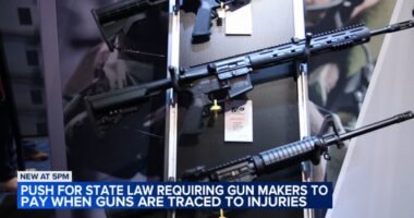 IL gun violence prevention advocates protest at Chicago church to push for Responsibility In Firearm Legislation, or RIFL, Act