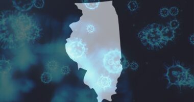 Illinois influenza death: Flu-like illness activity at highest rate, linked to new Subclade K variant, IDPH, CDC say
