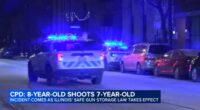 Illinois new laws 2026: Humboldt Park, Chicago shooting on West Division Street unfolded as Safe Gun Storage Act took effect