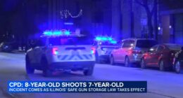 Illinois new laws 2026: Humboldt Park, Chicago shooting on West Division Street unfolded as Safe Gun Storage Act took effect