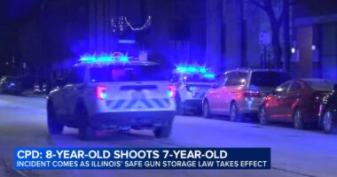 Illinois new laws 2026: Humboldt Park, Chicago shooting on West Division Street unfolded as Safe Gun Storage Act took effect