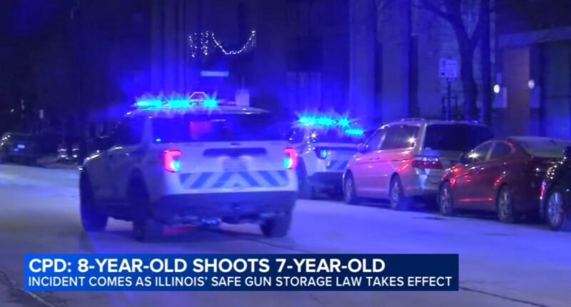Illinois new laws 2026: Humboldt Park, Chicago shooting on West Division Street unfolded as Safe Gun Storage Act took effect