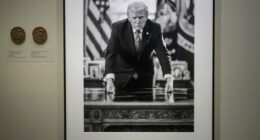 Impeachments info removed from Smithsonian's Trump portrait