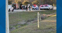 In-custody suspect dies after gun discharges in Nassau County, sheriff's office says