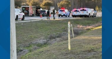 In-custody suspect dies after gun discharges in Nassau County, sheriff's office says