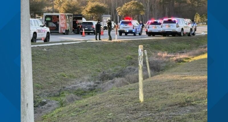 In-custody suspect dies after gun discharges in Nassau County, sheriff's office says