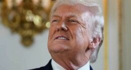 Donald Trump has threatened tariffs on any country that opposes his Greenland annexation plans.