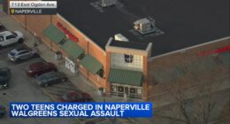 James Patterson, another teen charged in violent sexual assault recorded in Naperville Walgreens bathroom on Ogden Avenue: police