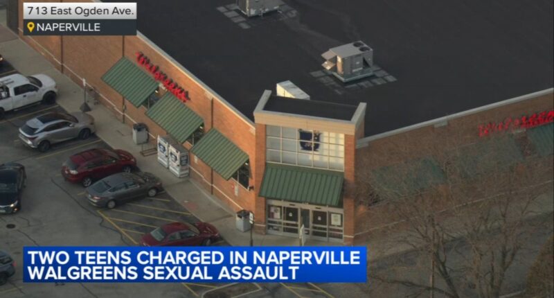 James Patterson, another teen charged in violent sexual assault recorded in Naperville Walgreens bathroom on Ogden Avenue: police