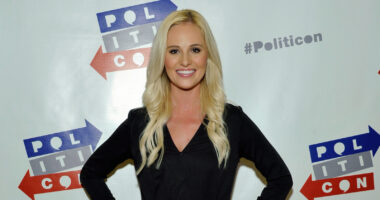 Jarring Pics Of Tomi Lahren's Face That Make Her Tune-Ups Undeniable