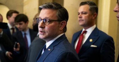 Johnson said he 'hasn't seen any evidence' that Omar staged attack