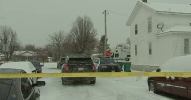 Joseph D. Johnson charged with murder in Garnsey Avenue shooting deaths of Joselynn Diaz-Garcia, son in Joliet: police