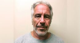 Justice Department says members of Congress can't intervene in release of Jeffrey Epstein files