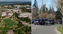 Knife-wielding attacker vanishes after random daytime stabbing rattles affluent suburb