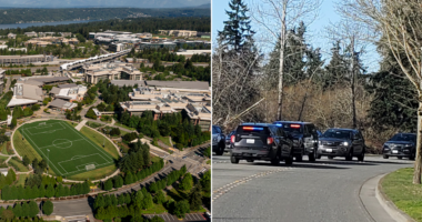 Knife-wielding attacker vanishes after random daytime stabbing rattles affluent suburb