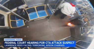 Lawrence Reed, CTA Blue Line fire attack suspect, due in court in indictment that includes arson at Chicago City Hall