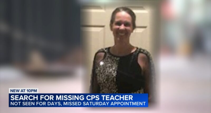 Linda Kathleen Brown, missing Chicago Public Schools teacher at Robert Healy Elementary School, last seen in Bronzeville: CPD