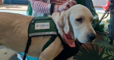 Local children's hospital welcomes new facility dog named Popcorn