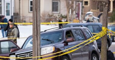 Looks Like ICE Agent 'Likely Struck by That Car', But Question Is if He Could Have Jumped Away