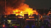 Luxury yachts destroyed by fire at city marina