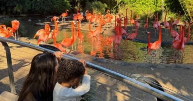 Photo Credit: Maralee Nichols Instagram