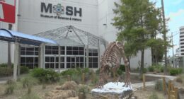 MOSH CEO resigns; departure not expected to impact new museum plans