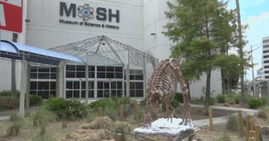 MOSH CEO resigns; departure not expected to impact new museum plans