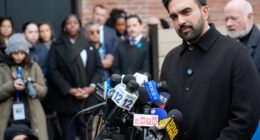 Mamdani Balls Up His Little Commie Fist and Rages After New York City Council Employee Detained by ICE