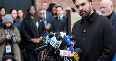 Mamdani Balls Up His Little Commie Fist and Rages After New York City Council Employee Detained by ICE