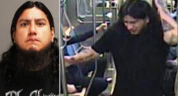 Man accused of nearly beating Chicago train passenger to death walks free with no prison time: report
