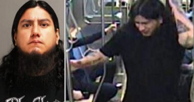 Man accused of nearly beating Chicago train passenger to death walks free with no prison time: report