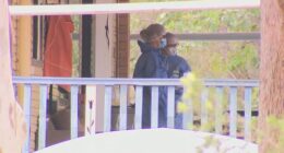 Alfar was not home when police made the grisly discovery, sparking a search for him.