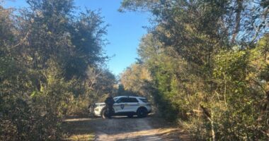 Man drowns at William Sheffield Park, Jacksonville police investigating