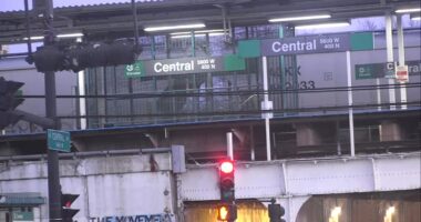 Man injured in South Austin, Chicago stabbing during attempted robbery on CTA Green Line train on North Central Avenue: CPD